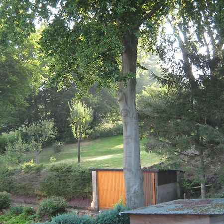 Ferienwohnung Sauerland Panorama Korbach Buitenkant foto