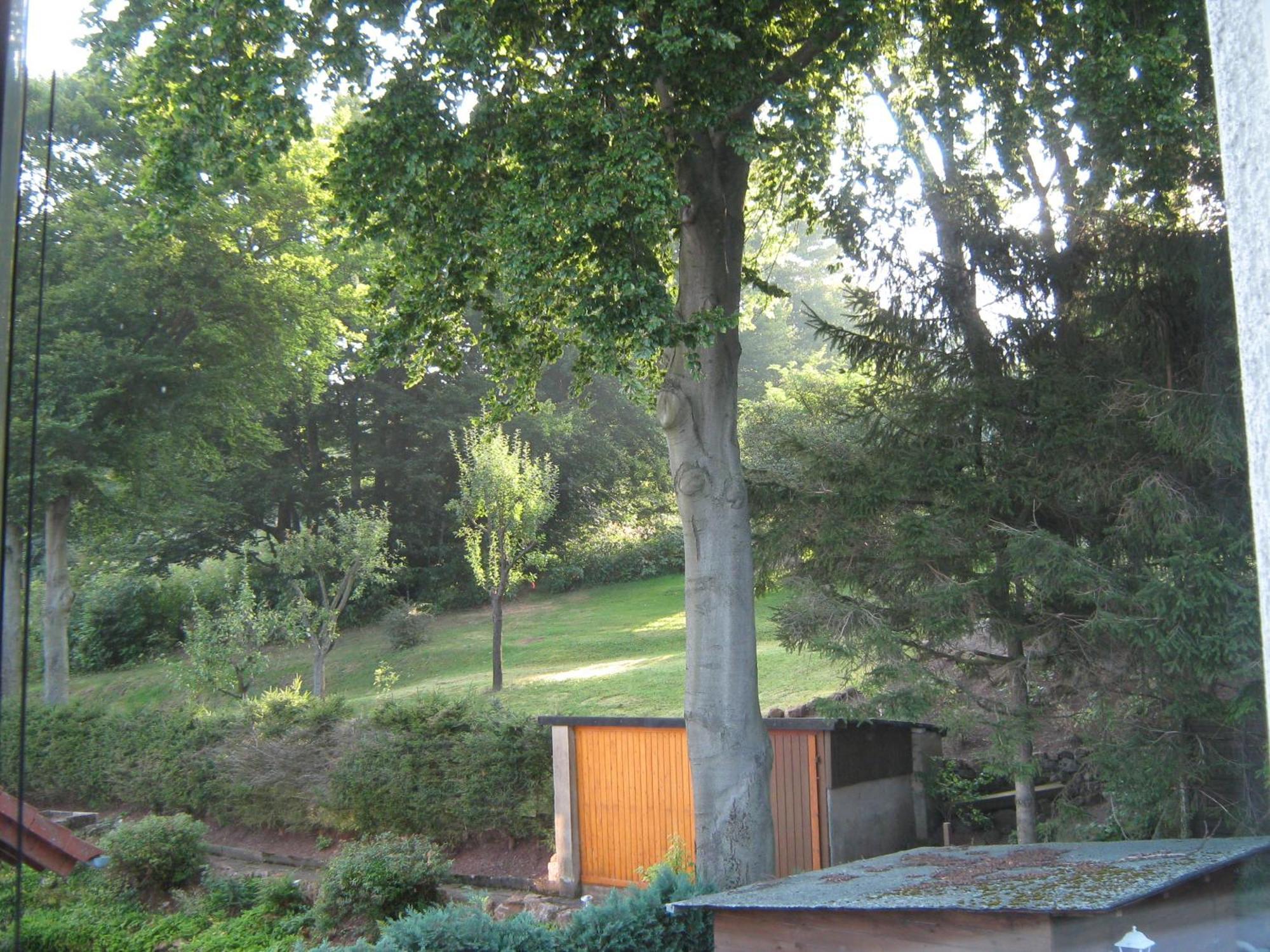 Ferienwohnung Sauerland Panorama Korbach Buitenkant foto